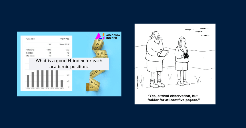 A dark blue blog thumbnail showing two side-by-side images: on the left, a screenshot about academic citation metrics and h-index scores, and on the right, a black-and-white cartoon of two researchers with the caption, “Yes, a trivial observation, but fodder for at least five papers.”
